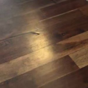 Meet your Posher, Samuel